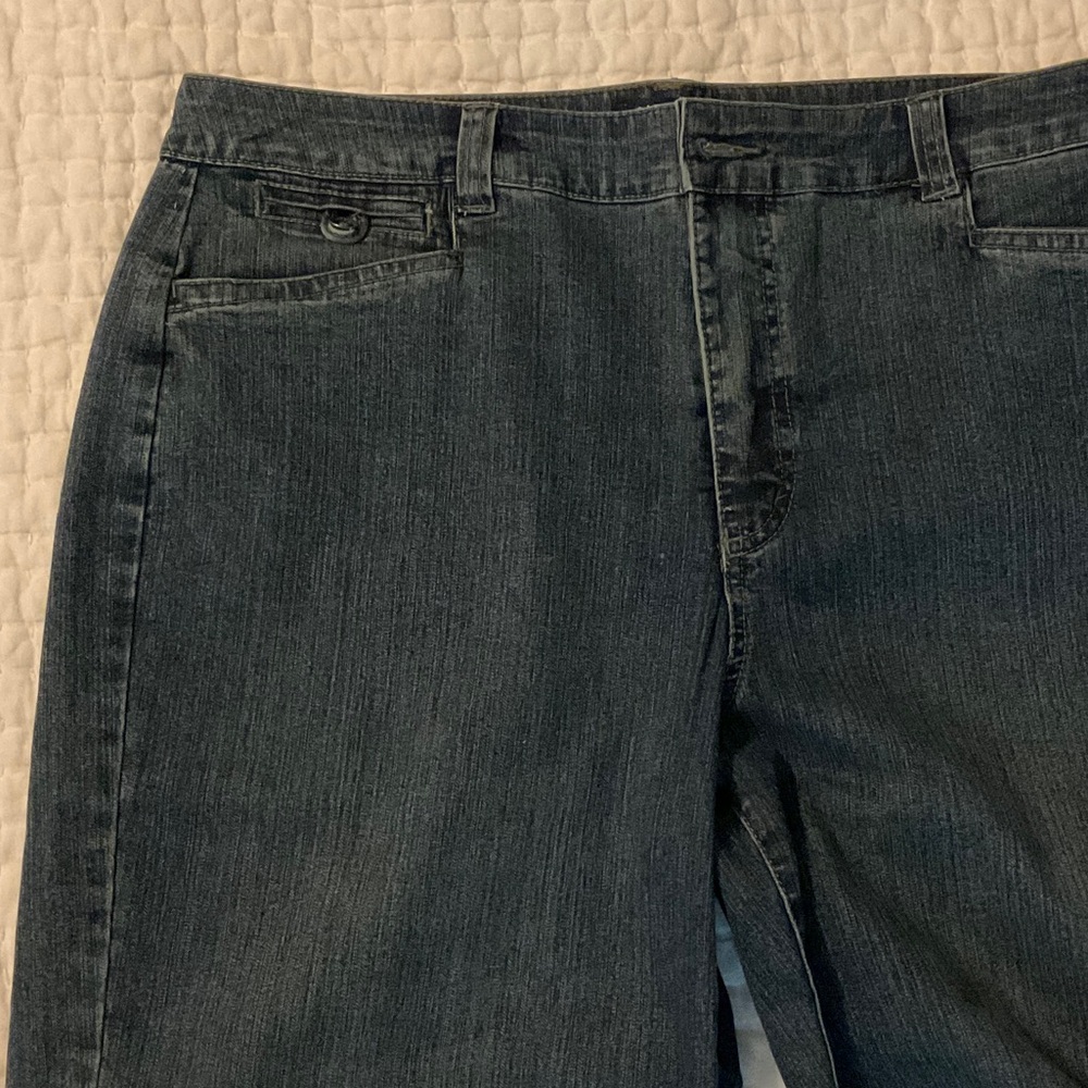 Bandolino Blue Jean Shorts